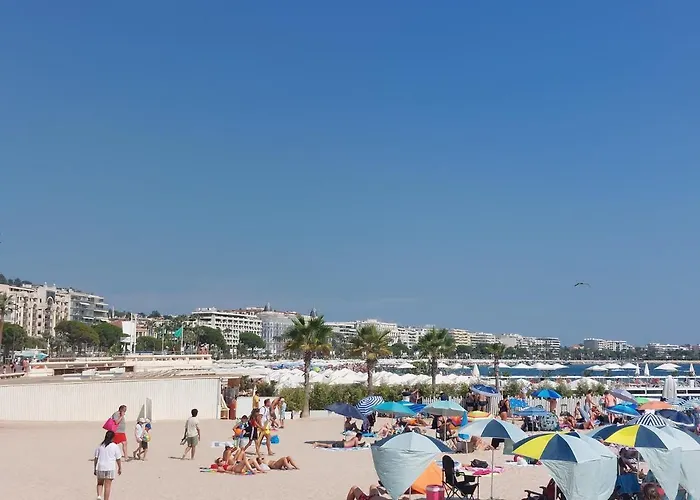 Palais Miramar - Croisette - Across The - Next To Carlton *