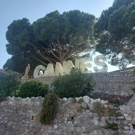 شقة Palais Miramar - Croisette - Across The - Next To Carlton كان