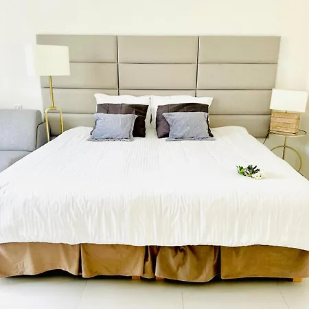 Apartment Croisette - Palais Miramar - Across The - Next To Carlton